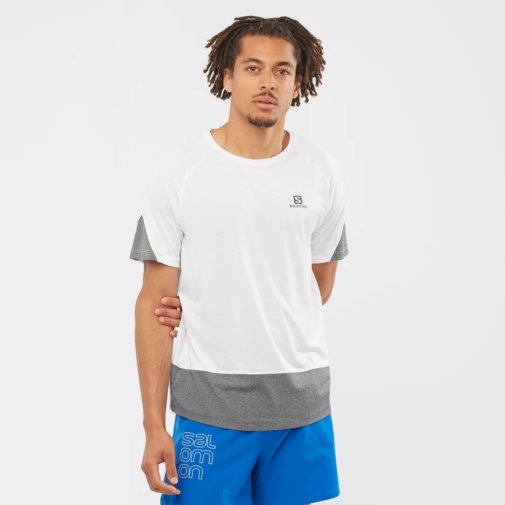 Camiseta Salomon Cross Run Curta Sleeve Masculino Branco Cinzentas | PT R40526